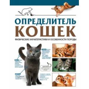 Фото Определитель кошек. Физические характеристики и особенности породы