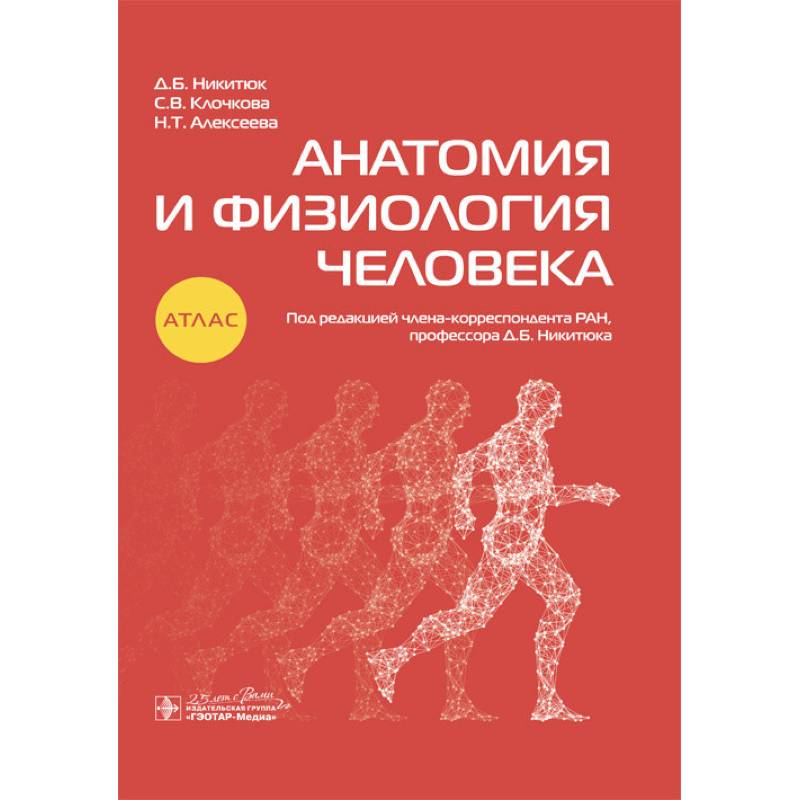 Фото Анатомия и физиология человека