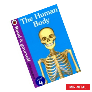 Фото The Human Body