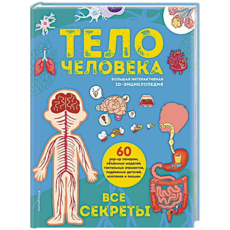 Фото Тело человека. Все секреты. Большая интерактивная 3D-энциклопедия