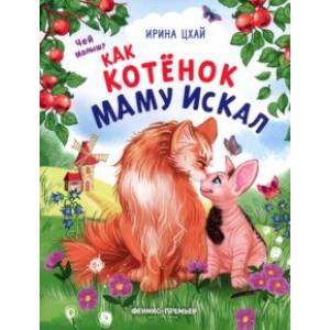 Фото Как котенок маму искал