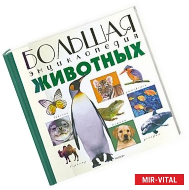 Фото Большая энциклопедия Животных