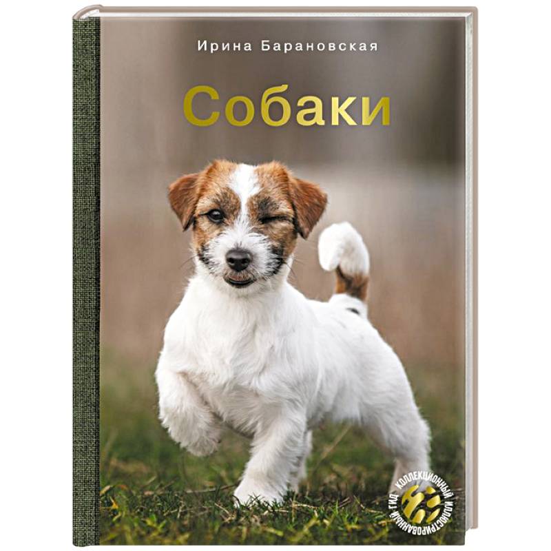 Фото Собаки