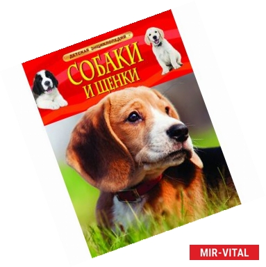 Фото Собаки и щенки