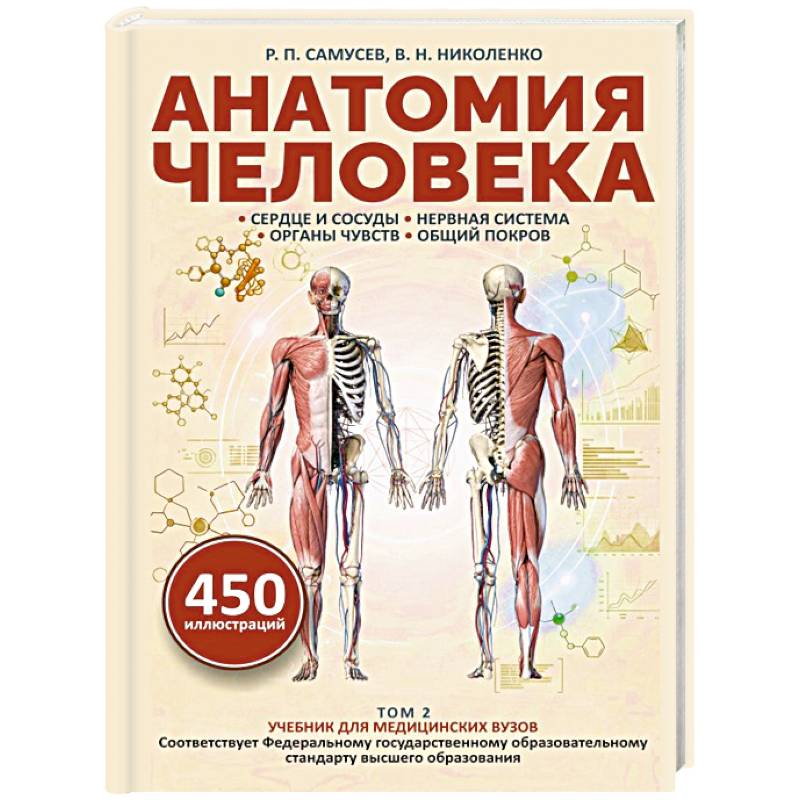 Фото Анатомия человека. Сердце и сосуды, нервная система, органы чувств, общий покров