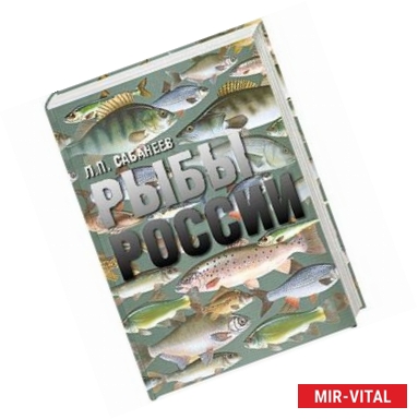 Фото Рыбы России