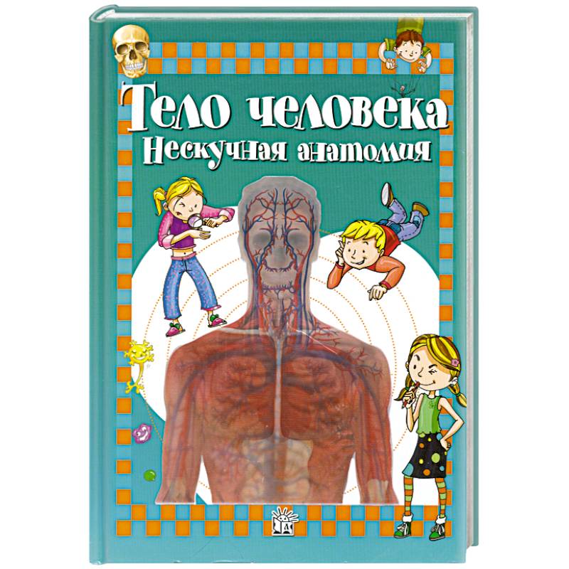 Фото Тело человека: нескучная анатомия