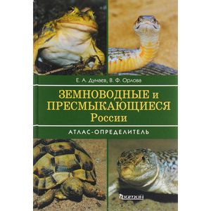 Фото Земноводные и пресмыкающиеся России. Атлас-определитель