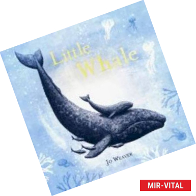 Фото Little Whale