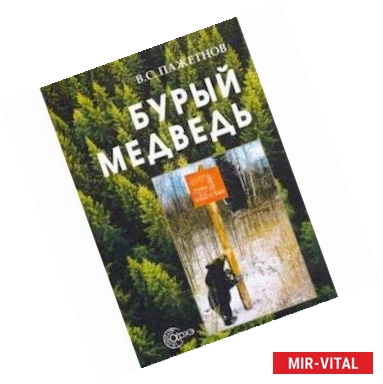 Фото Бурый медведь