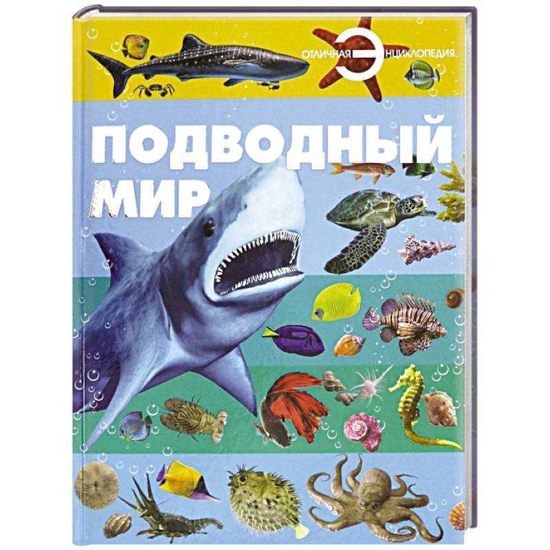 Фото Подводный мир