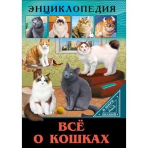 Фото Все о кошках