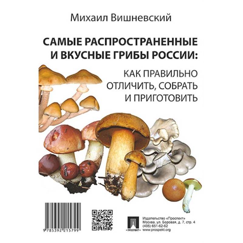 Фото Самые распространенные и вкусные грибы России: как правильно отличить, собрать и приготовить