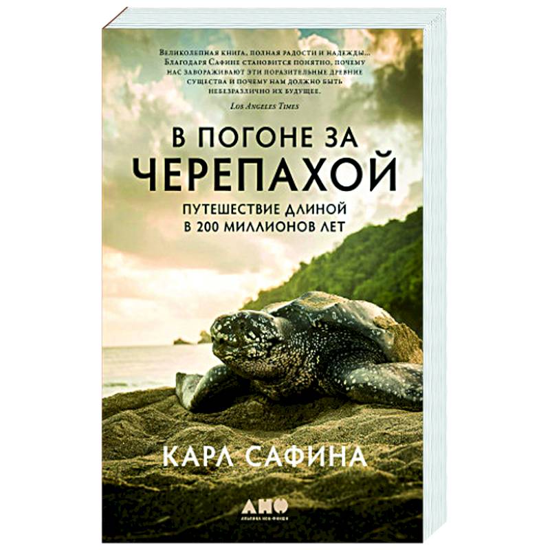 Фото В погоне за черепахой. Путешествие длиной в 200 миллионов лет