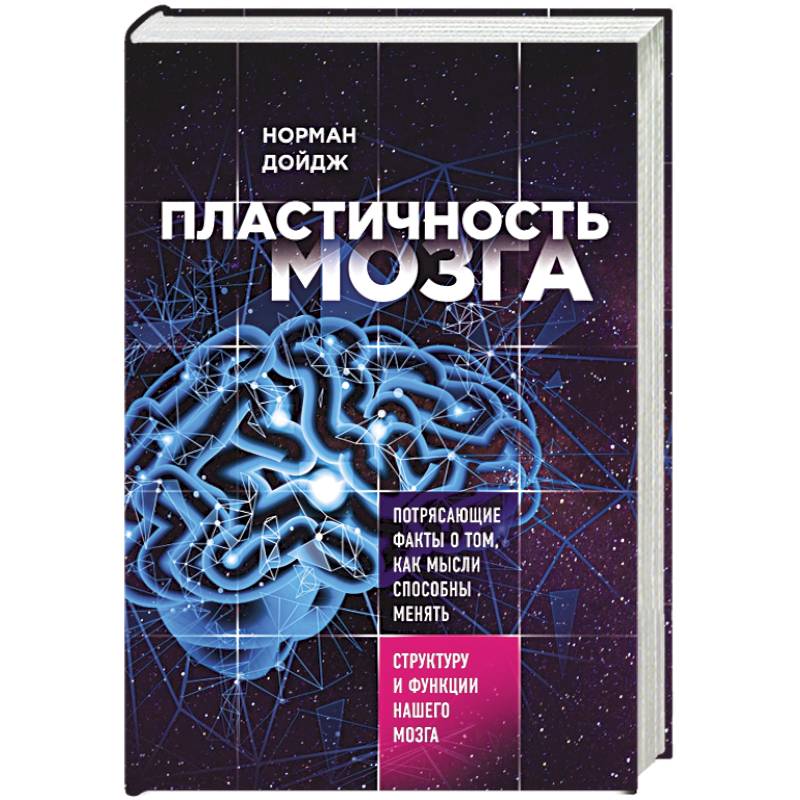 Фото Пластичность мозга. Потрясающие факты о том, как мысли способны менять структуру нашего мозга