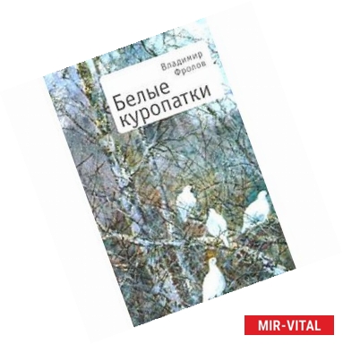 Фото Белые куропатки