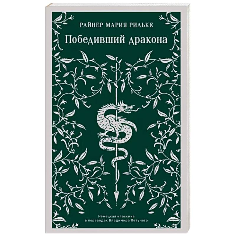 Фото Победивший дракона