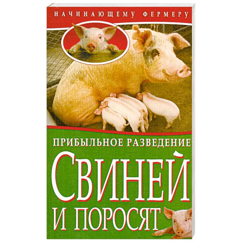 Фото Прибыльное разведение свиней и поросят