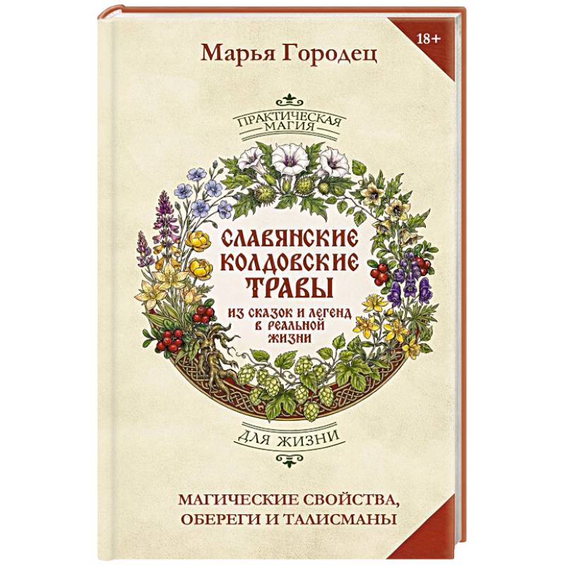 Фото Полынь и расковник. Славянская магия трав и колдовство растений