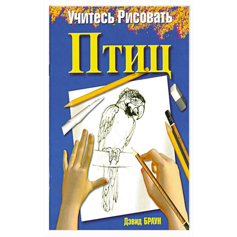 Фото Учитесь рисовать птиц