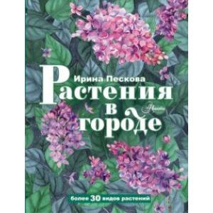 Фото Растения в городе