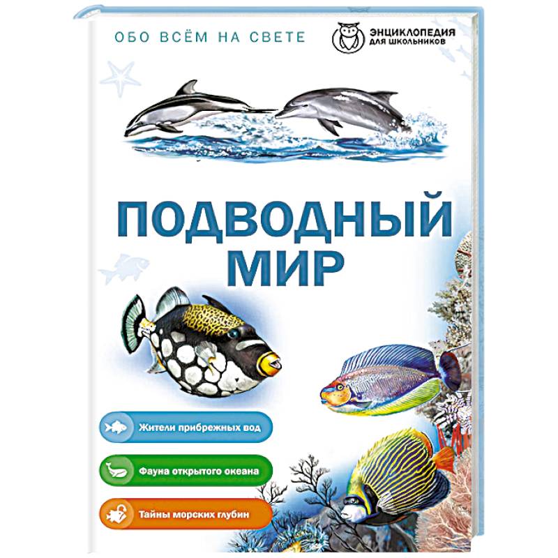 Фото Подводный мир