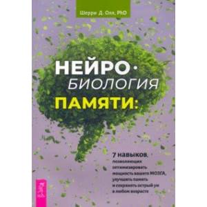 Фото Нейробиология памяти. 7 навыков, позволяющих оптимизировать мощность вашего мозга