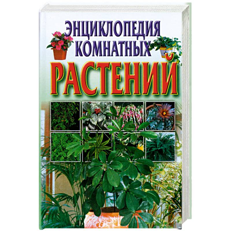 Фото Энциклопедия комнатных растений