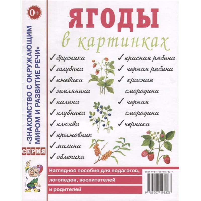 Фото Ягоды в картинках. Наглядное пособие для педагогов, воспитателей, логопедов, родителей.