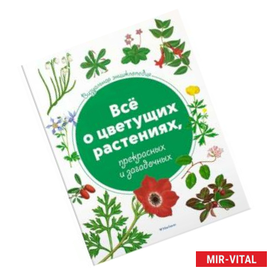 Фото Всё о цветущих растениях, прекрасных и загадочных