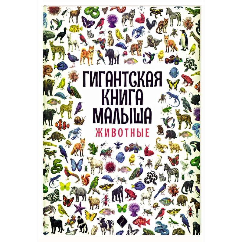 Фото Гигантская книга малыша. Животные
