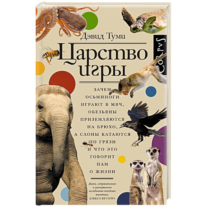 Фото Царство игры