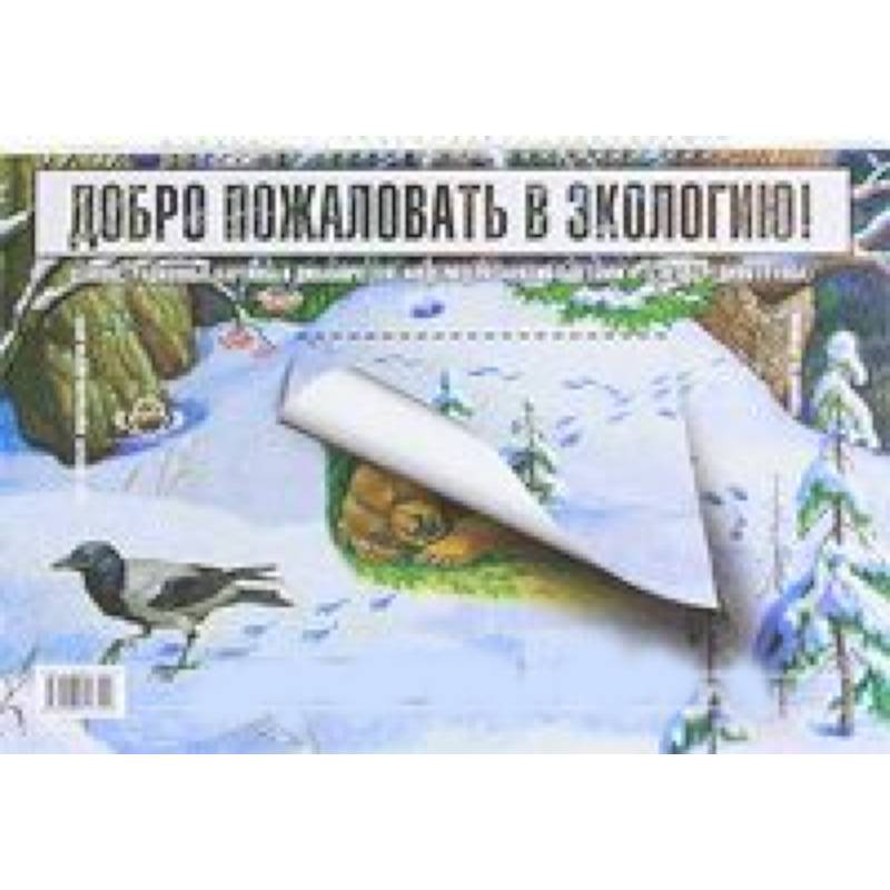 Фото Добро пожаловать в экологию! Демонстрационные картины и динамические модели для занятий с детьми 4-5 лет (Средняяя группа)