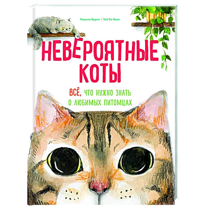 Фото Невероятные коты. Все, что нужно знать о любимых питомцах