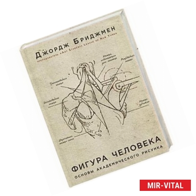 Фото Фигура человека. Основы академического рисунка. В новой суперобложке