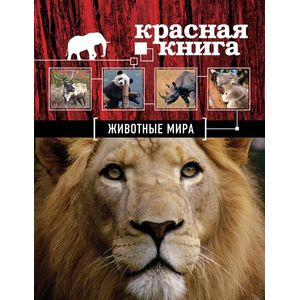Фото Красная книга. Животные мира