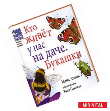 Фото Кто живет у нас на даче? Букашки