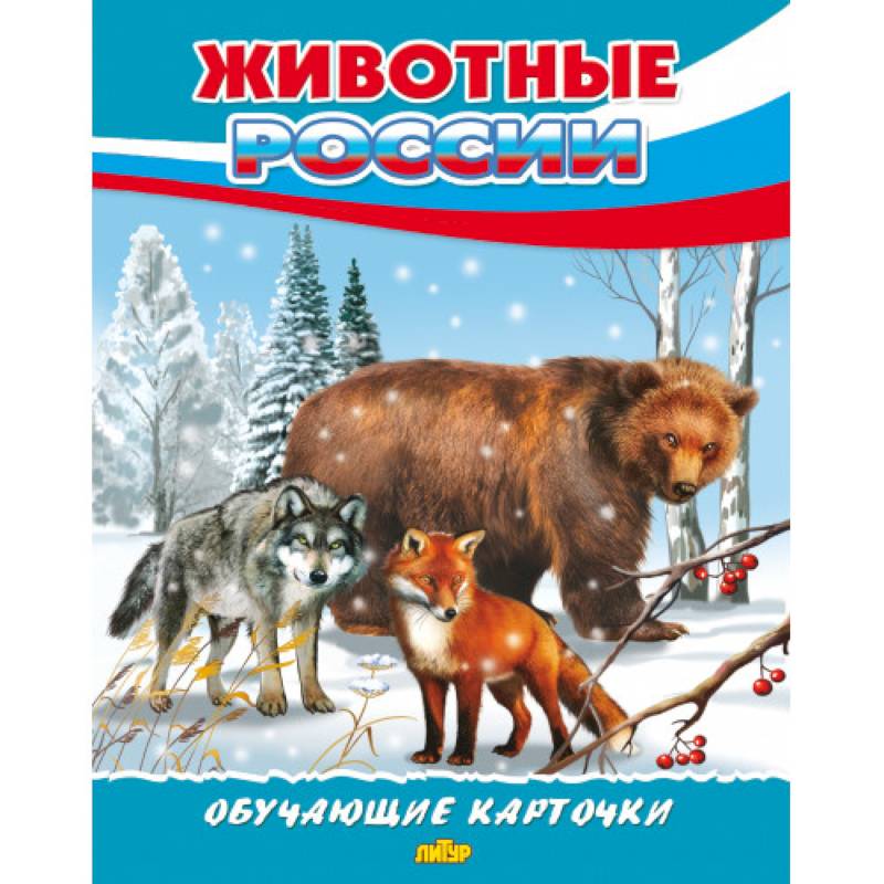 Фото Животные России