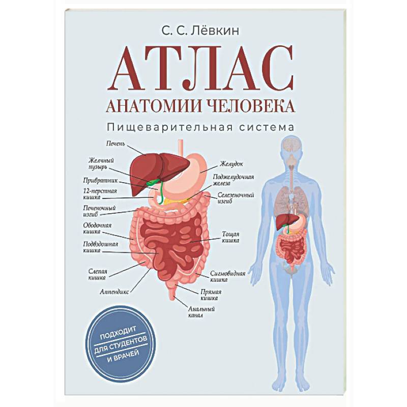 Фото Атлас анатомии человека. Пищеварительная система