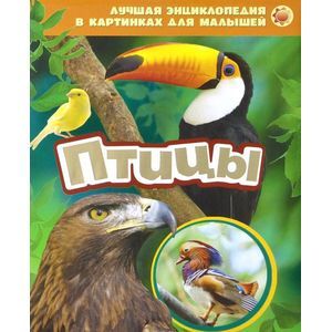 Фото Птицы