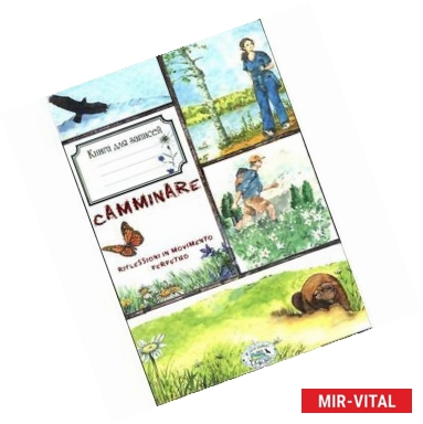 Фото Записки пешехода