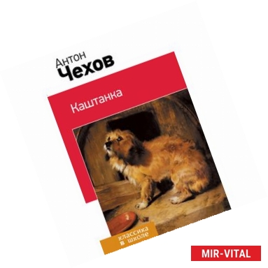 Фото Каштанка