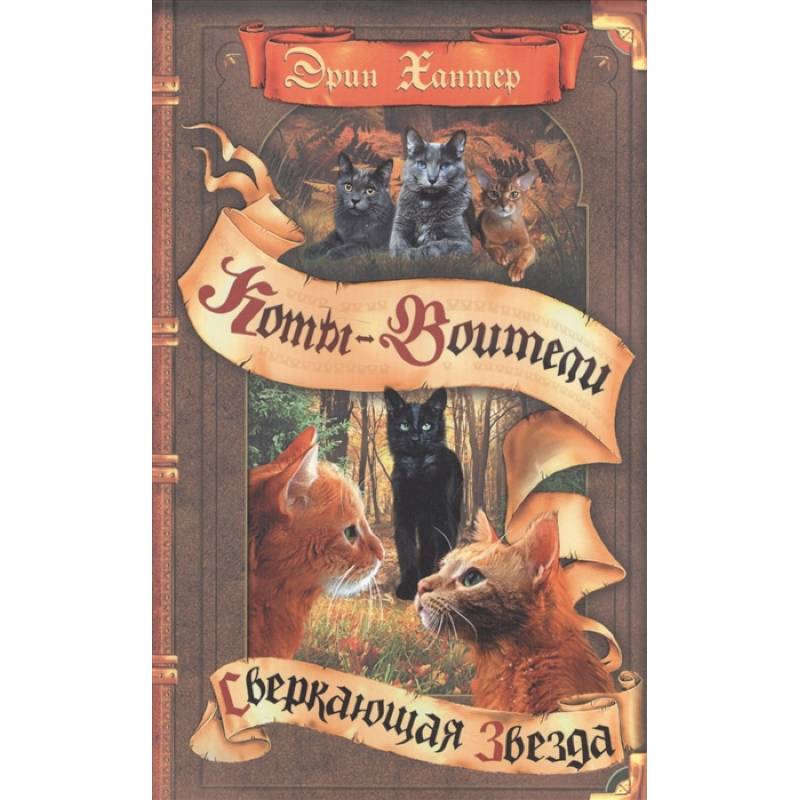 Фото Коты-воители. Сверкающая Звезда