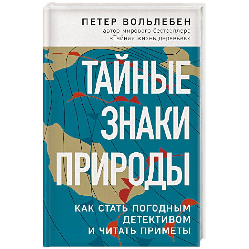 Фото Тайные знаки природы: как стать погодным детективом и читать приметы