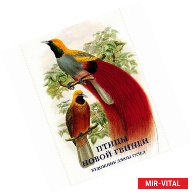 Фото Птицы Новой Гвинеи. Набор открыток