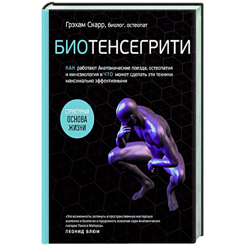 Фото Биотенсегрити. Как работают Анатомические поезда, остеопатия и кинезиология и что может сделать эти техники максимально эффективными