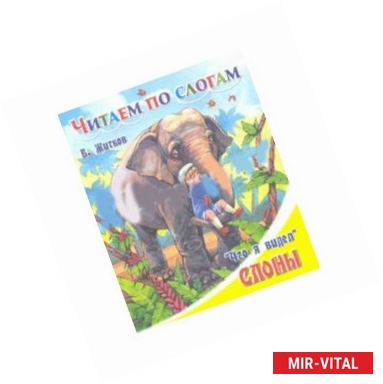 Фото Слоны 'Что я видел'