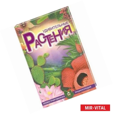 Фото Удивительные растения