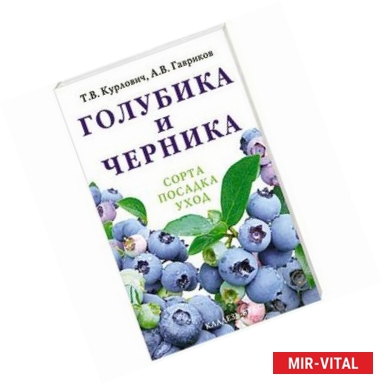 Фото Голубика и черника : сорта, посадка, уход