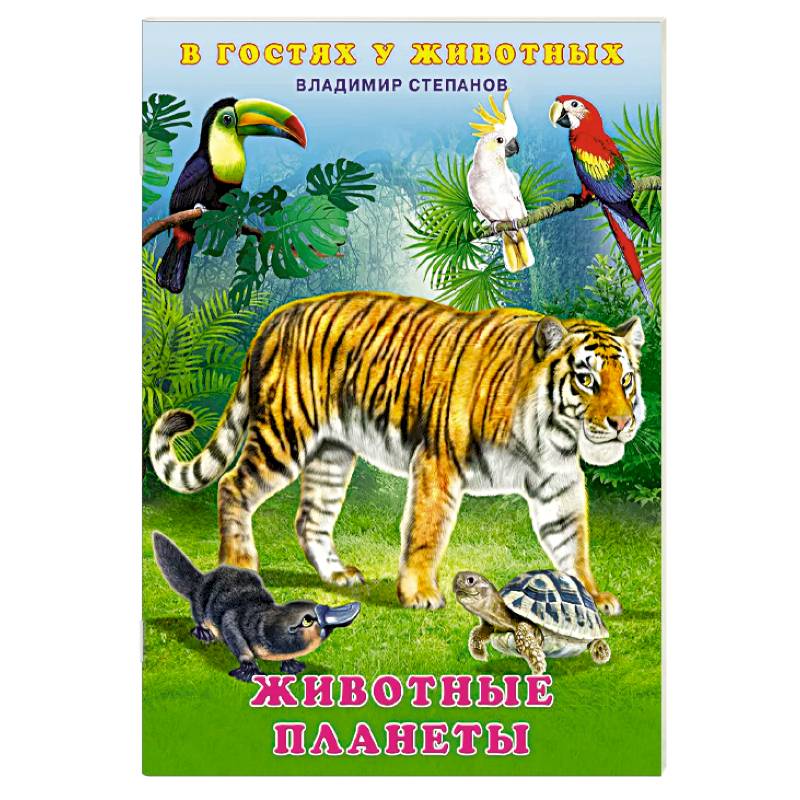 Фото Животные планеты